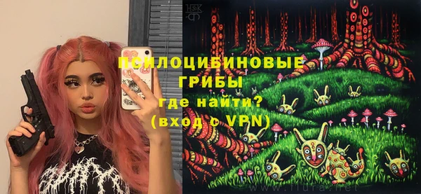 мдпв Тутаев