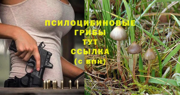 прущий лед Никольское